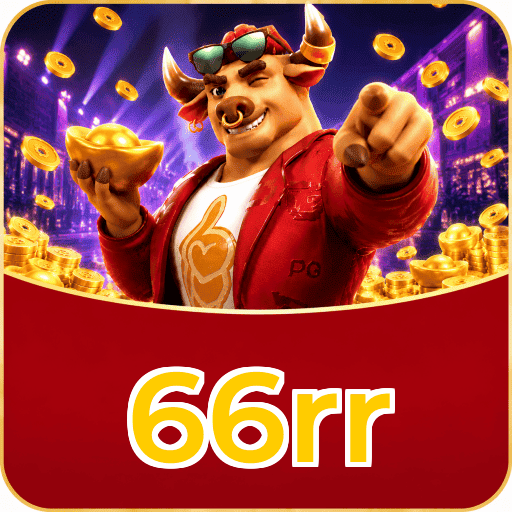 66rr Segurança